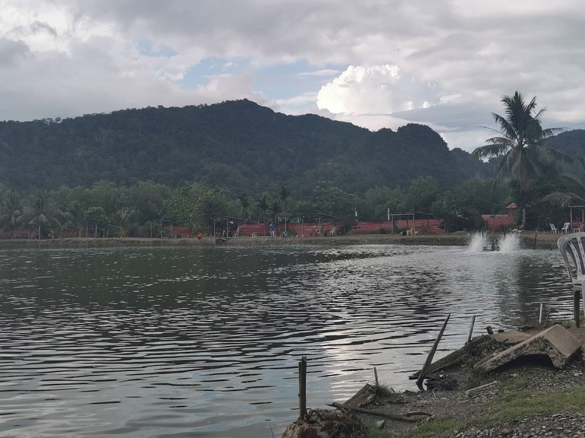 Kolam Memancing Bazar Sport Fishing